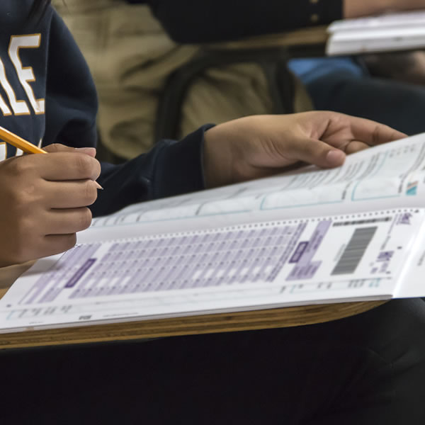 Caja de Herramientas ICFES