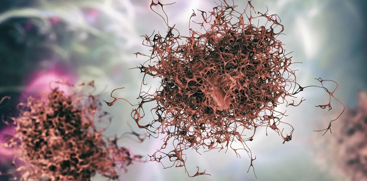 Proteina presente en todos los tipos de cancer